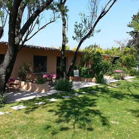 Mas La Provence Bed & Breakfast L'Isle-sur-la-Sorgue Ngoại thất bức ảnh